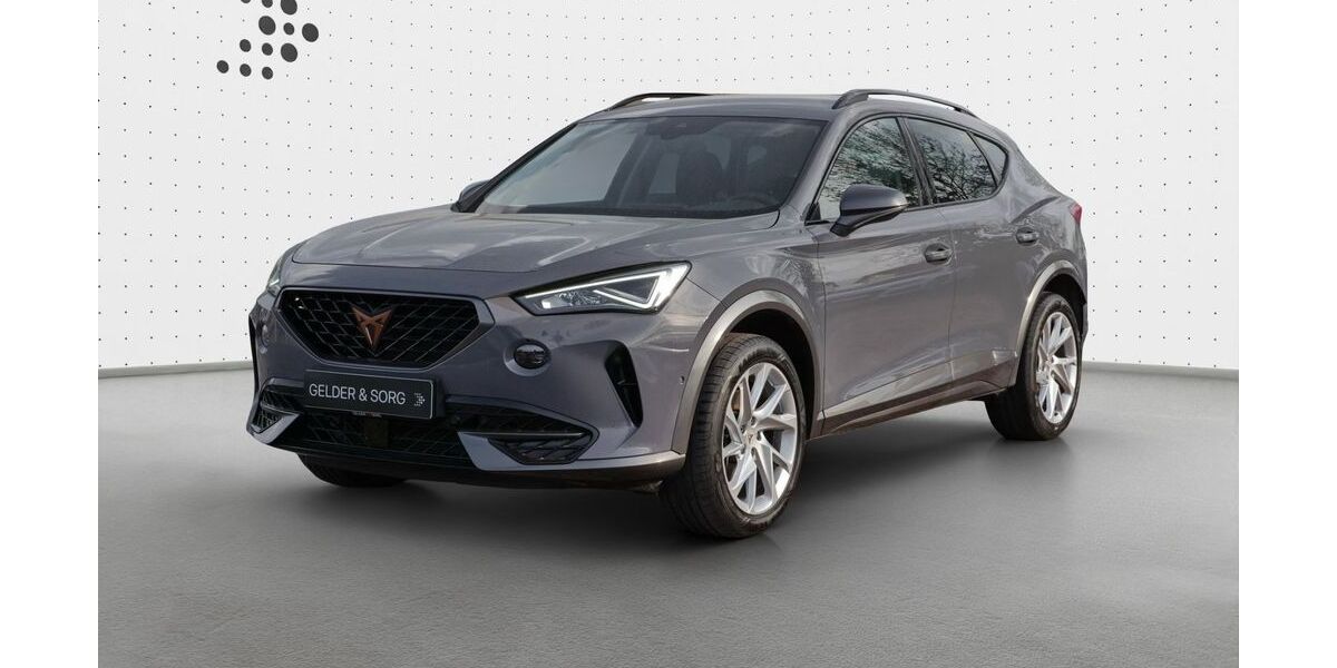 Cupra Formentor 92.700 km 24.480 &euro; Sand am Main 97522