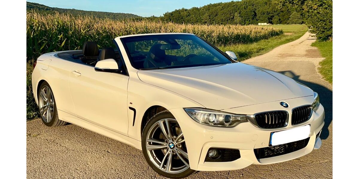 BMW 420 173.500 km 20.980 &euro; Eggolsheim 91330